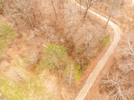 158 Bowman Road image