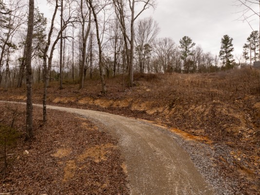 158 Bowman Road image