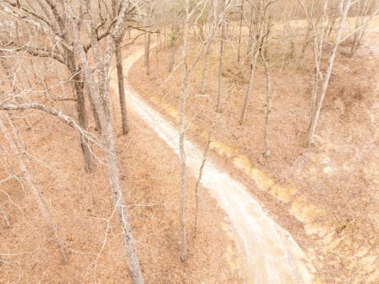 158 Bowman Road image