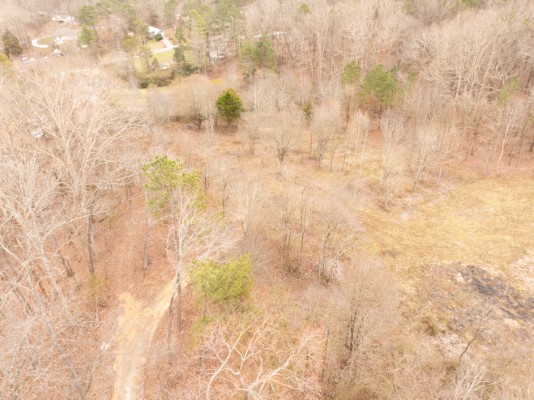 158 Bowman Road image