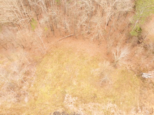 158 Bowman Road image