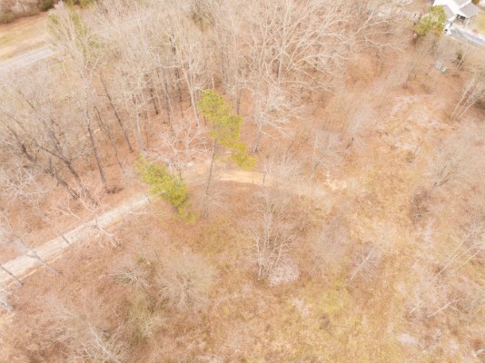 158 Bowman Road image